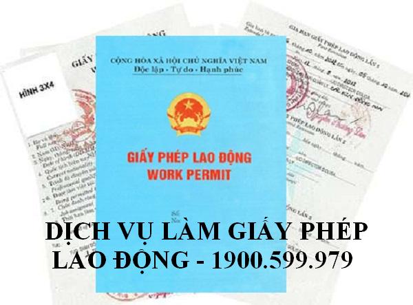 Danh mục tổ chức có sử dụng người nước ngoài, người nước ngoài làm việc tại việt nam liên quan đến giấy phép lao động